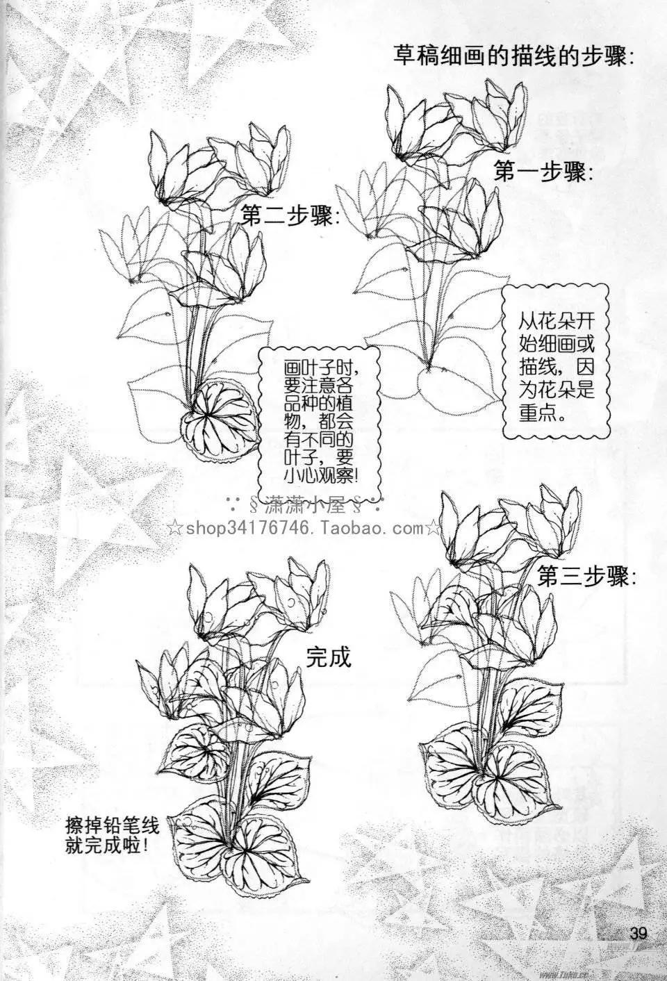 《素兰和乔英的漫画学院》花草篇 第39页