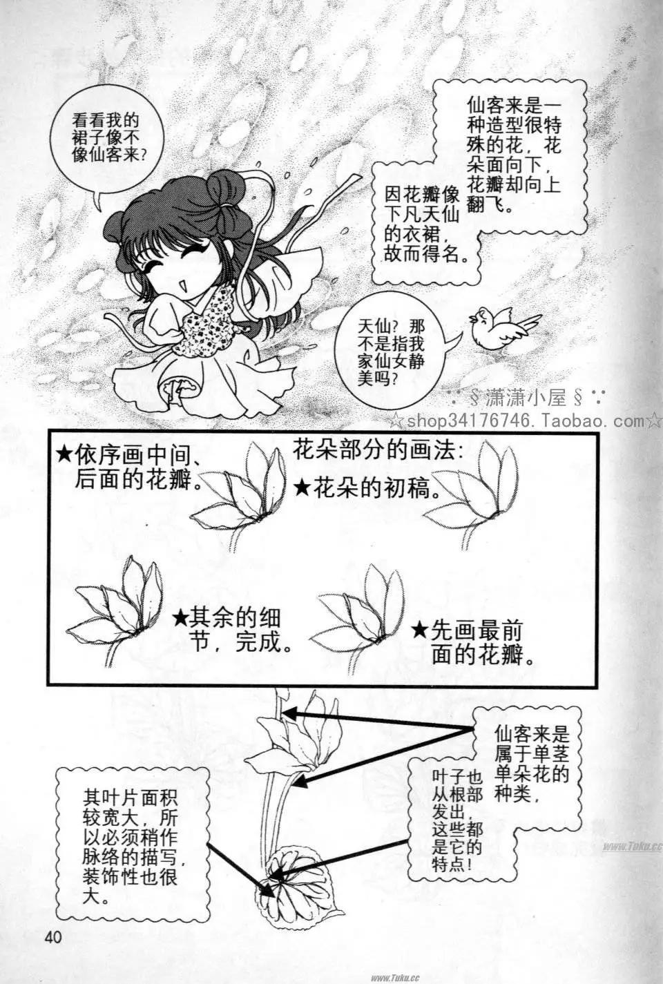 《素兰和乔英的漫画学院》花草篇 第40页
