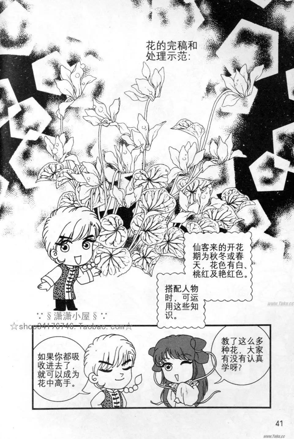 《素兰和乔英的漫画学院》花草篇 第41页
