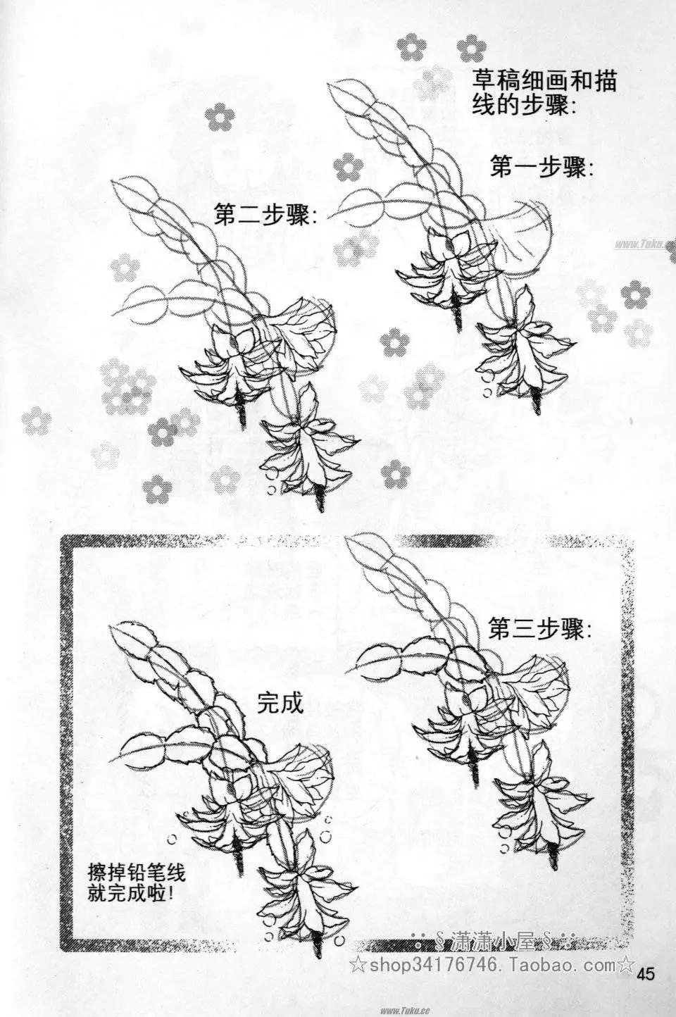 《素兰和乔英的漫画学院》花草篇 第45页