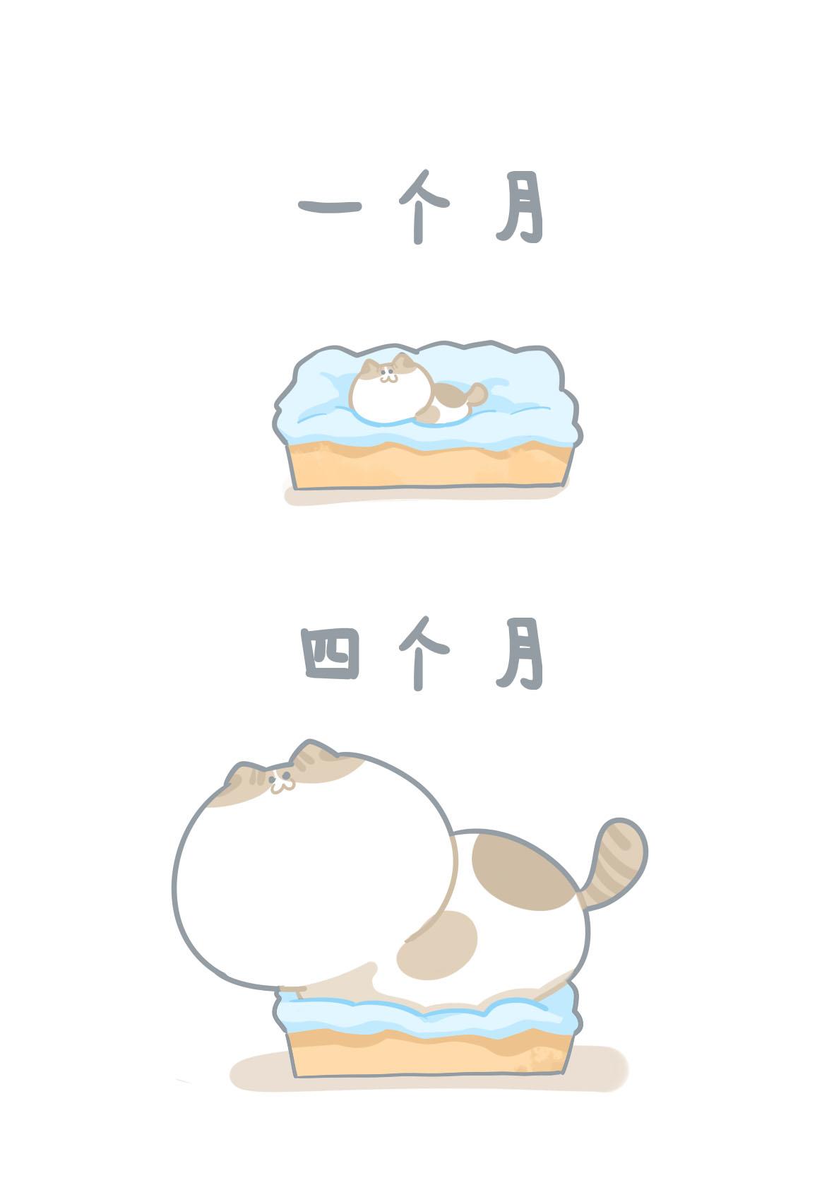 《猫到底在想什么？》猫团子03 第1页