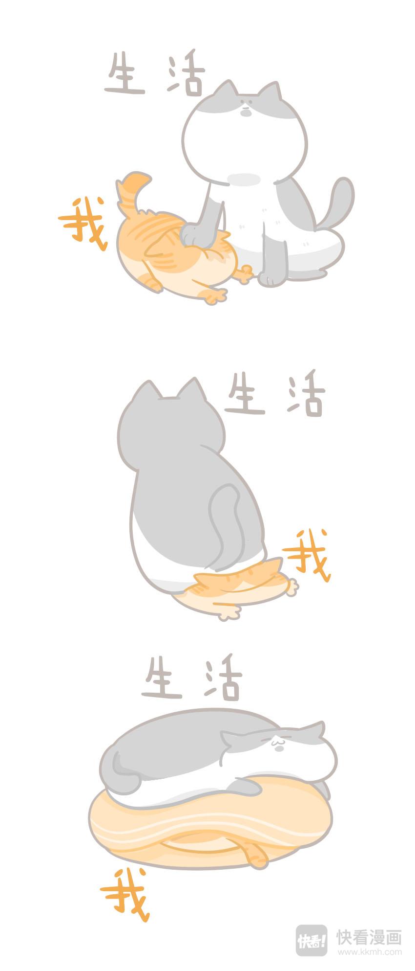 《猫到底在想什么？》猫团子06 第4页