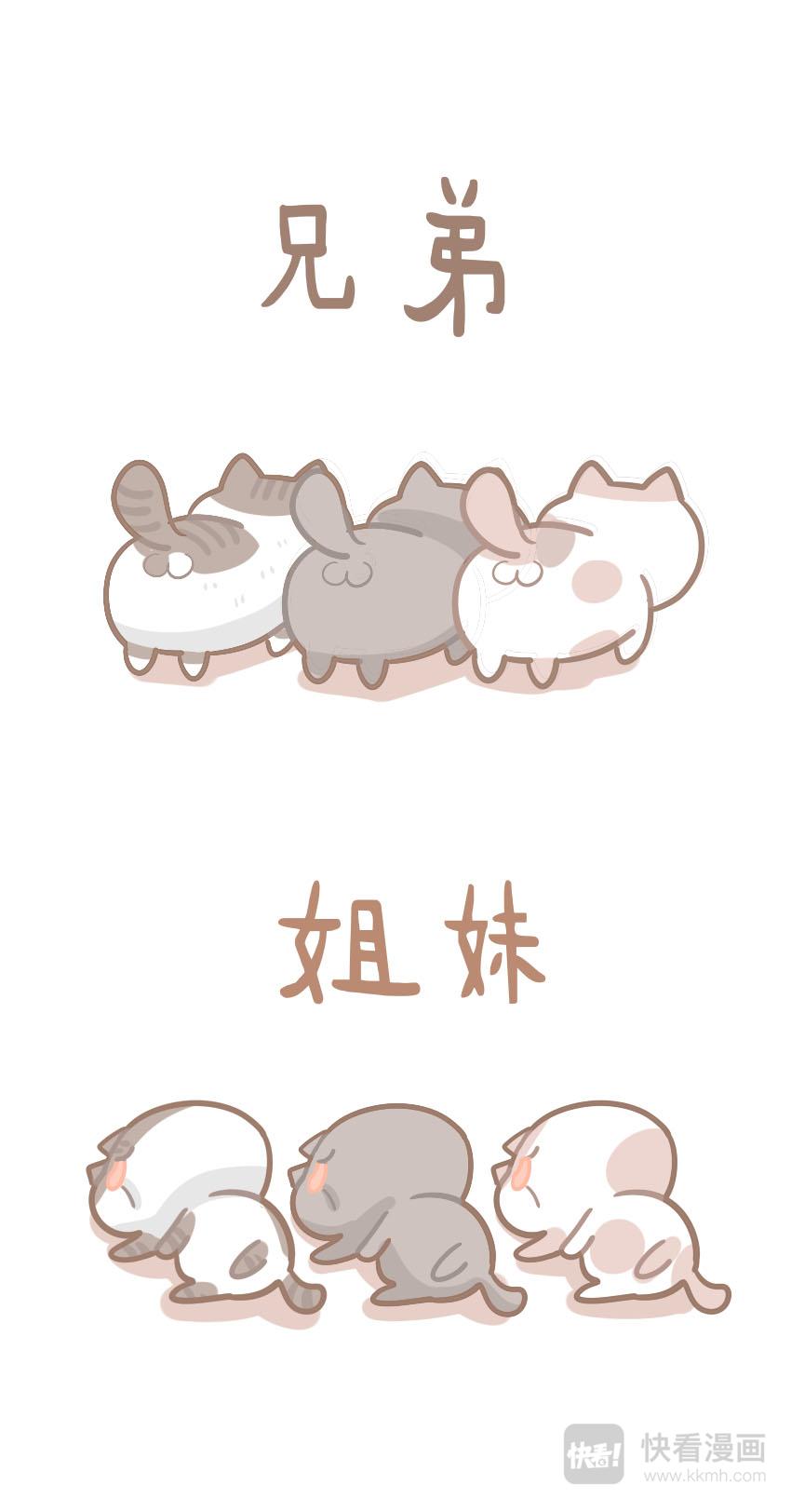 《猫到底在想什么？》猫团子06 第6页