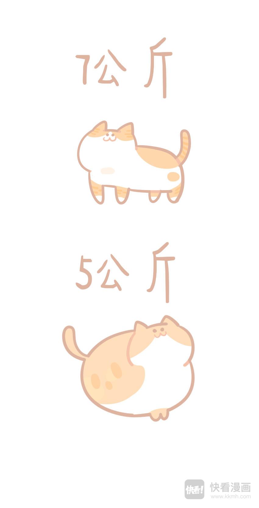 《猫到底在想什么？》猫团子07 第1页