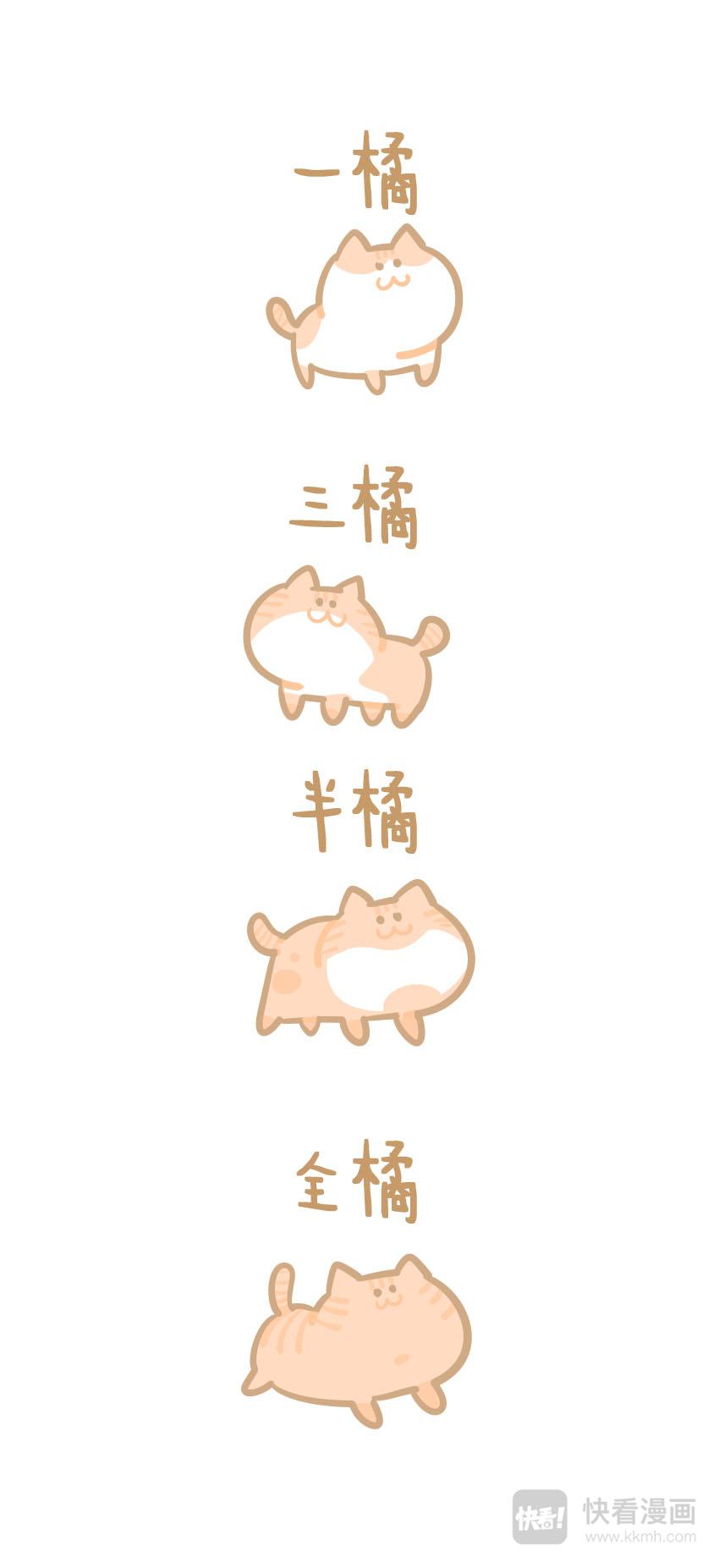 《猫到底在想什么？》猫团子07 第4页