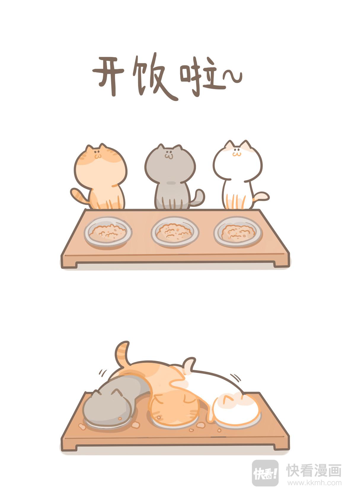 《猫到底在想什么？》猫团子05 第3页
