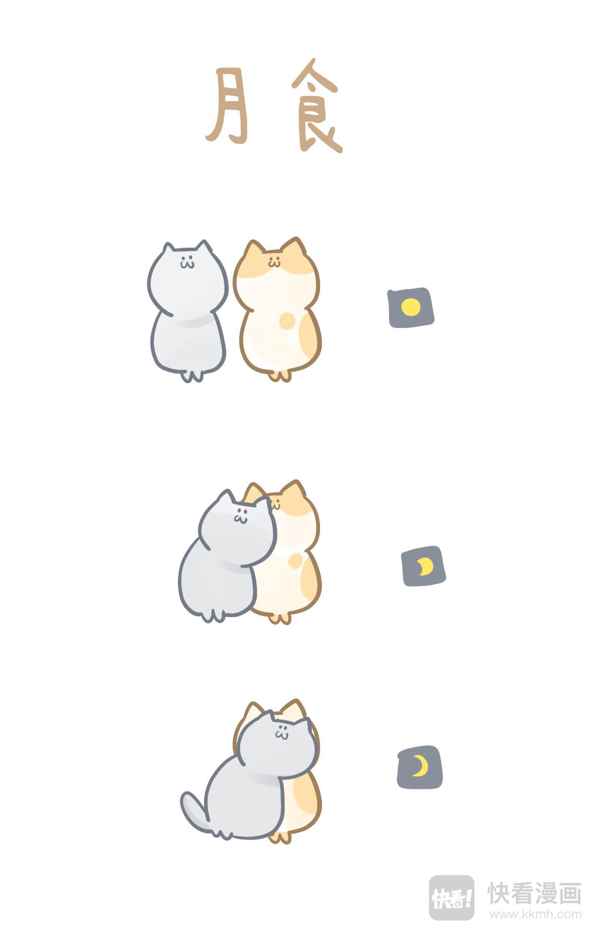 《猫到底在想什么？》猫团子08 第1页