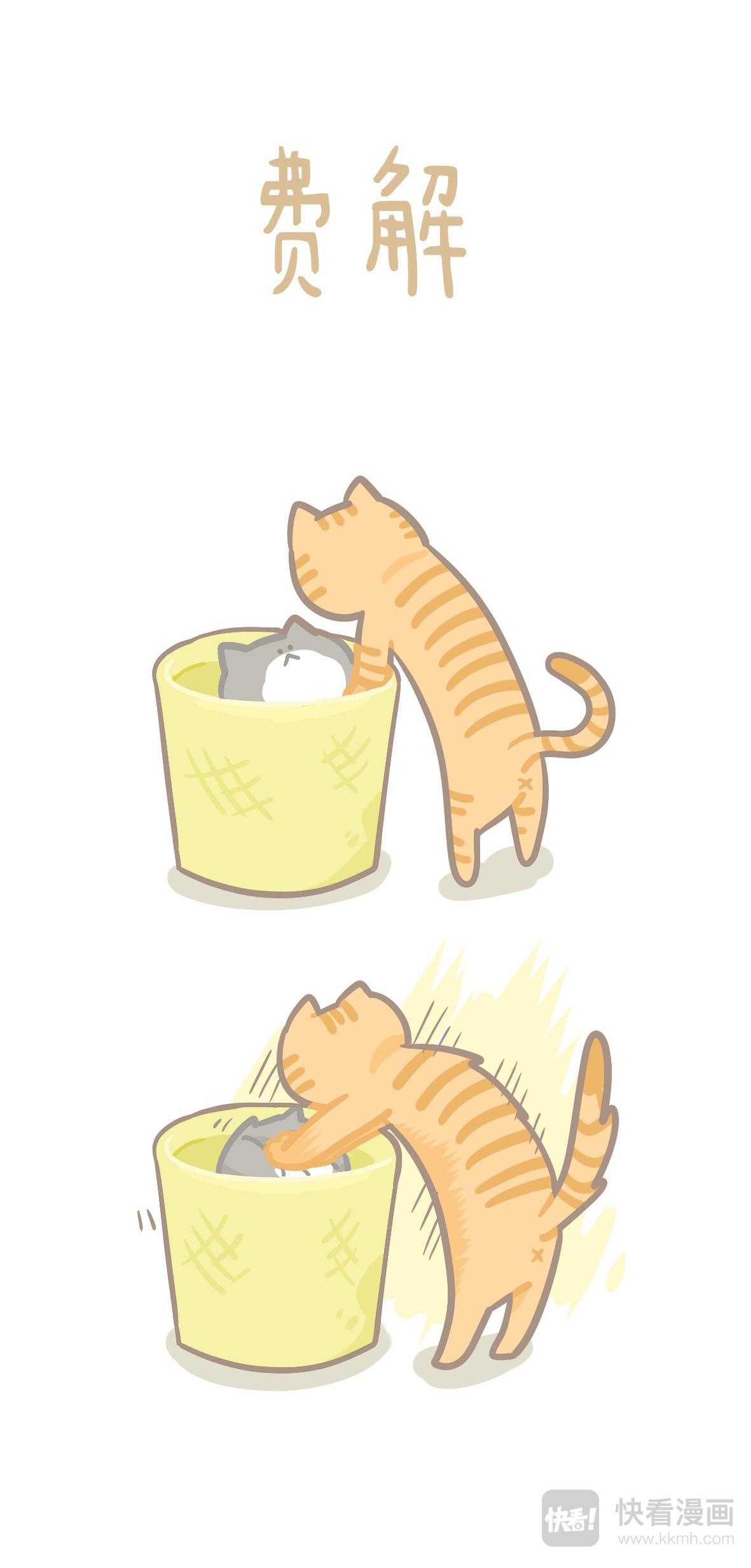 《猫到底在想什么？》猫团子12 第1页