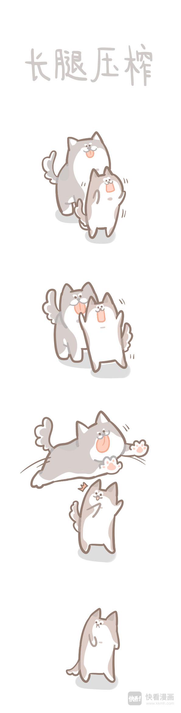 《猫到底在想什么？》猫团子12 第6页