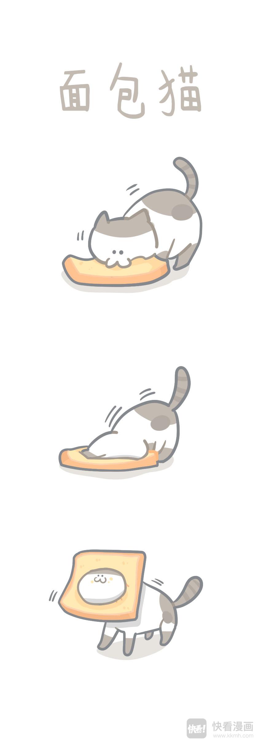《猫到底在想什么？》猫团子10 第1页