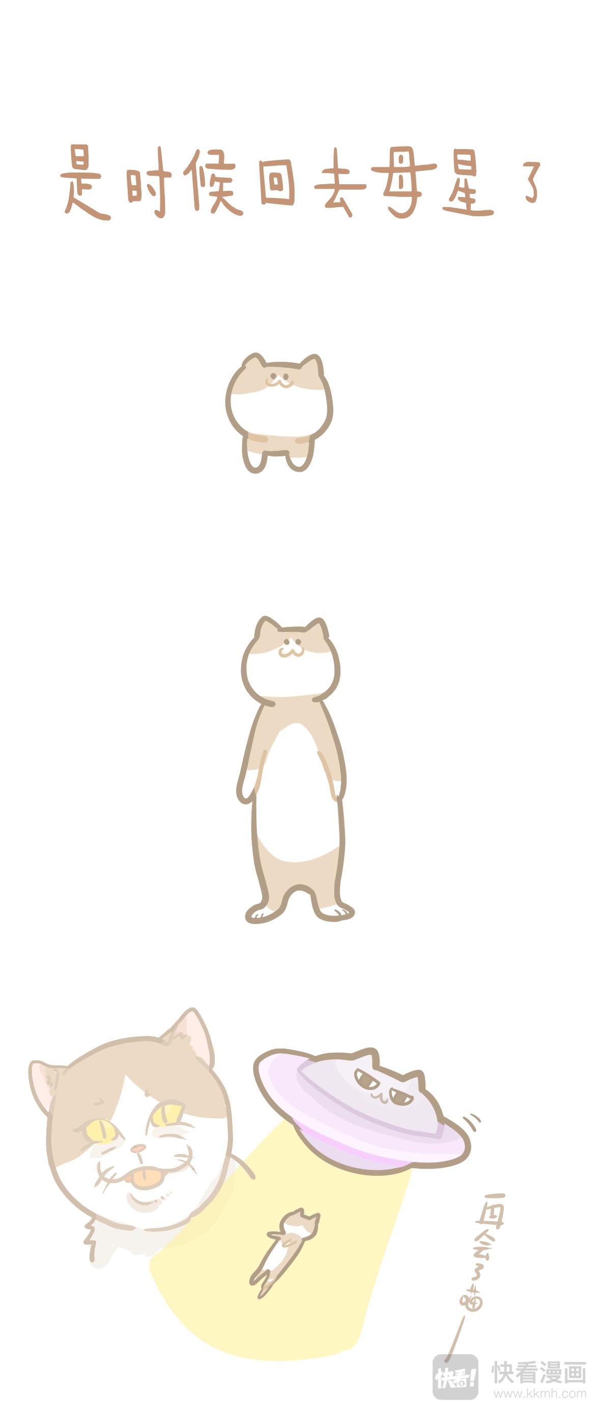 《猫到底在想什么？》猫团子11 第7页