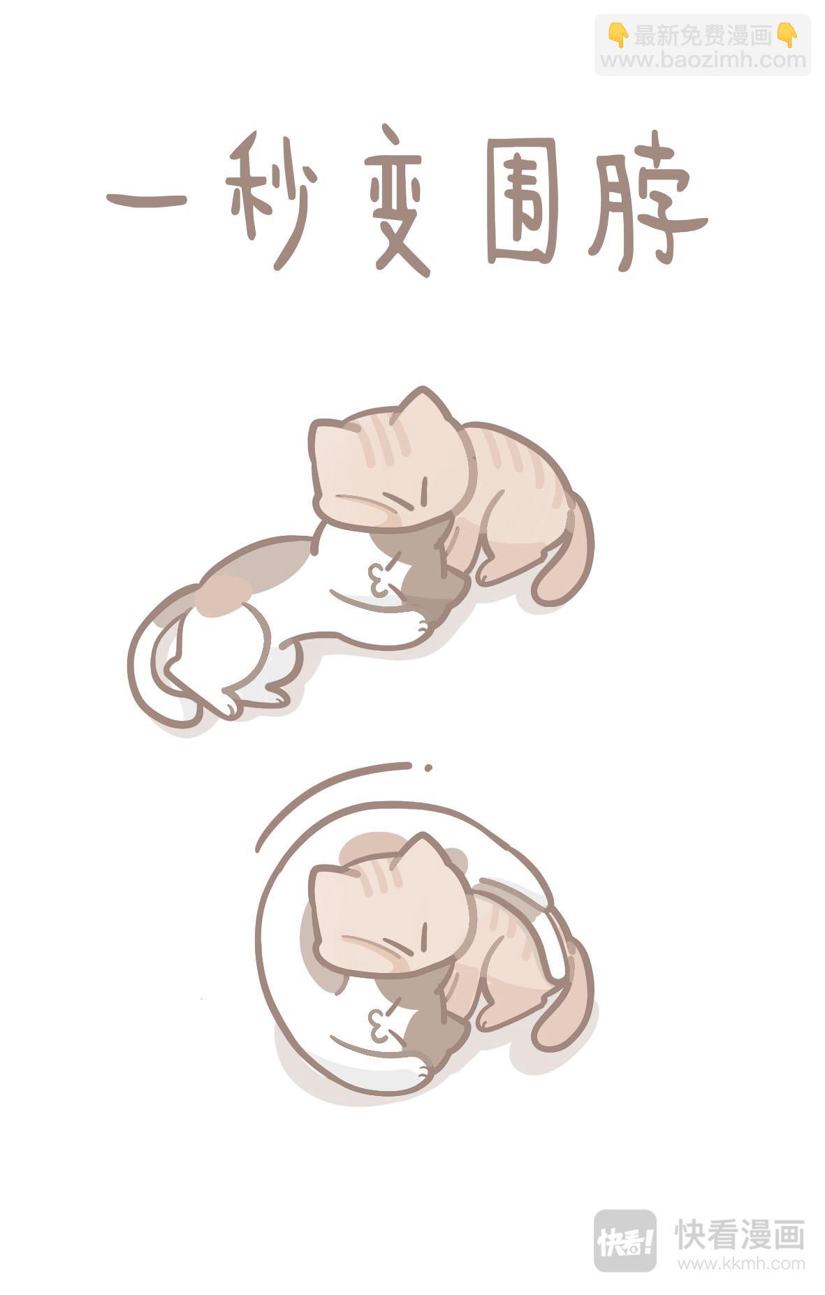 《猫到底在想什么？》猫团子09 第7页