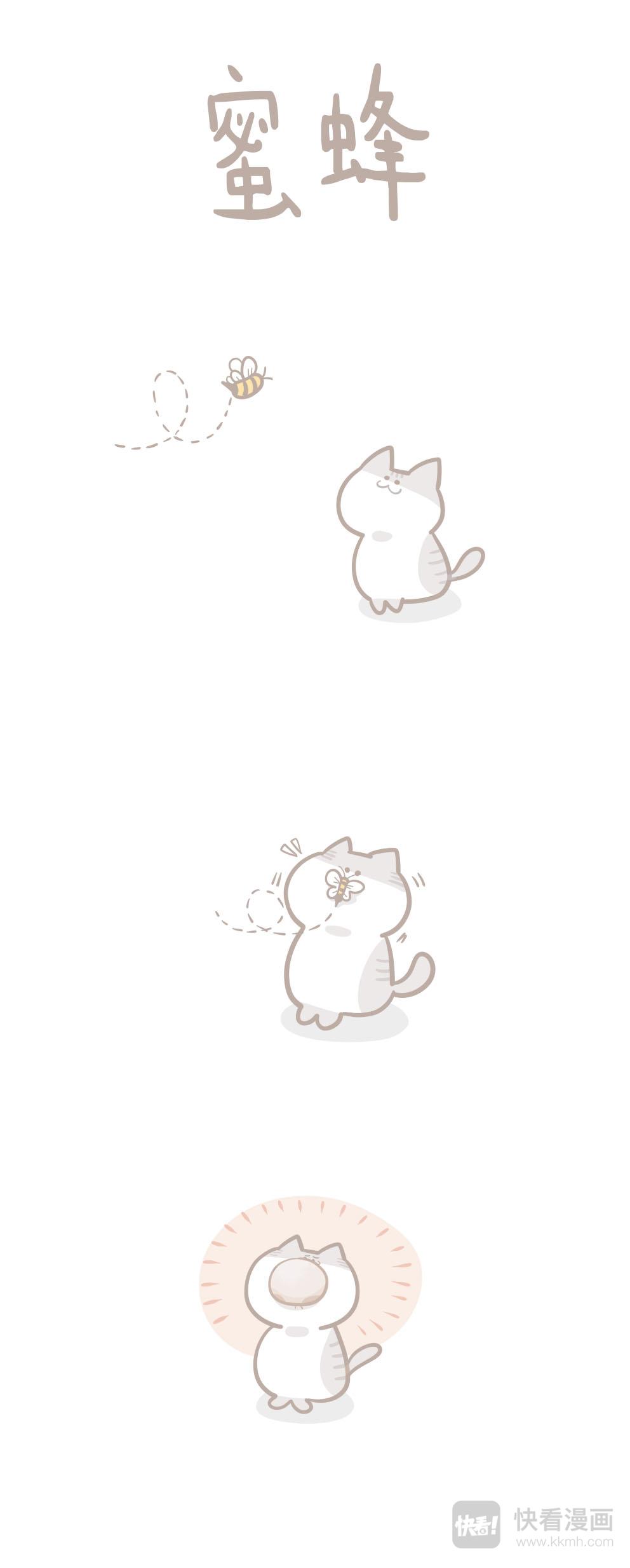 《猫到底在想什么？》猫团子13 第4页