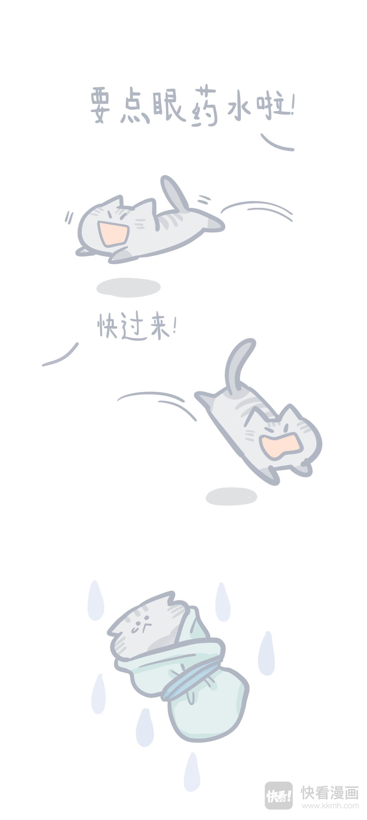 《猫到底在想什么？》猫团子13 第6页