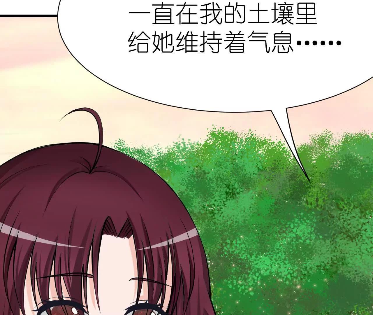 《十二花神落人间》消失 第32页
