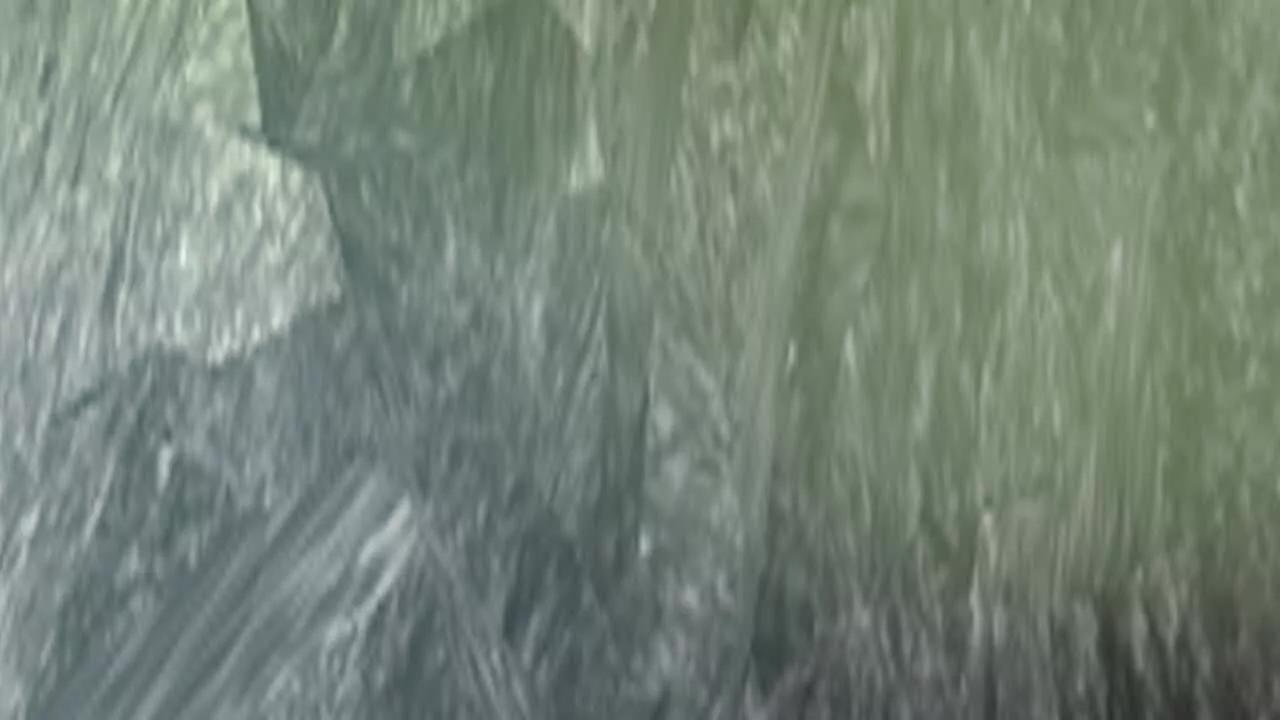 《十二花神落人间》新的线索 第39页