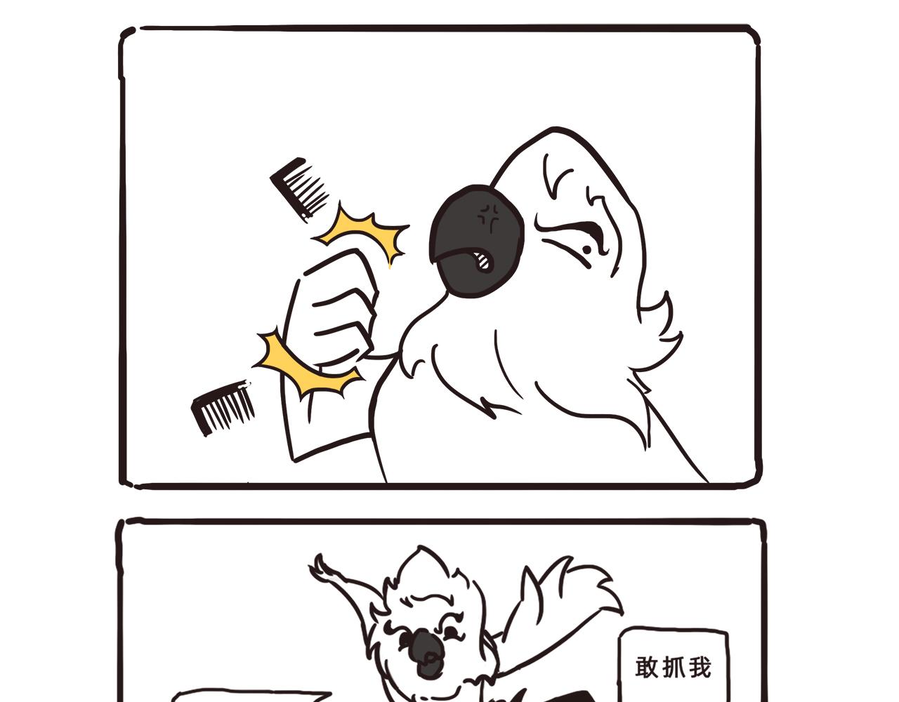 《池小满》小满与鹦鹉大美丽 第3页