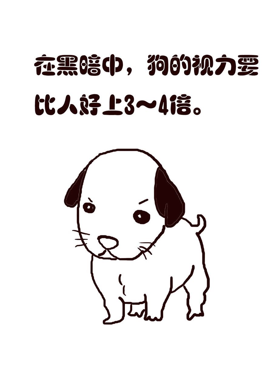 《小东与小西》小东与小西 第2集 第15页