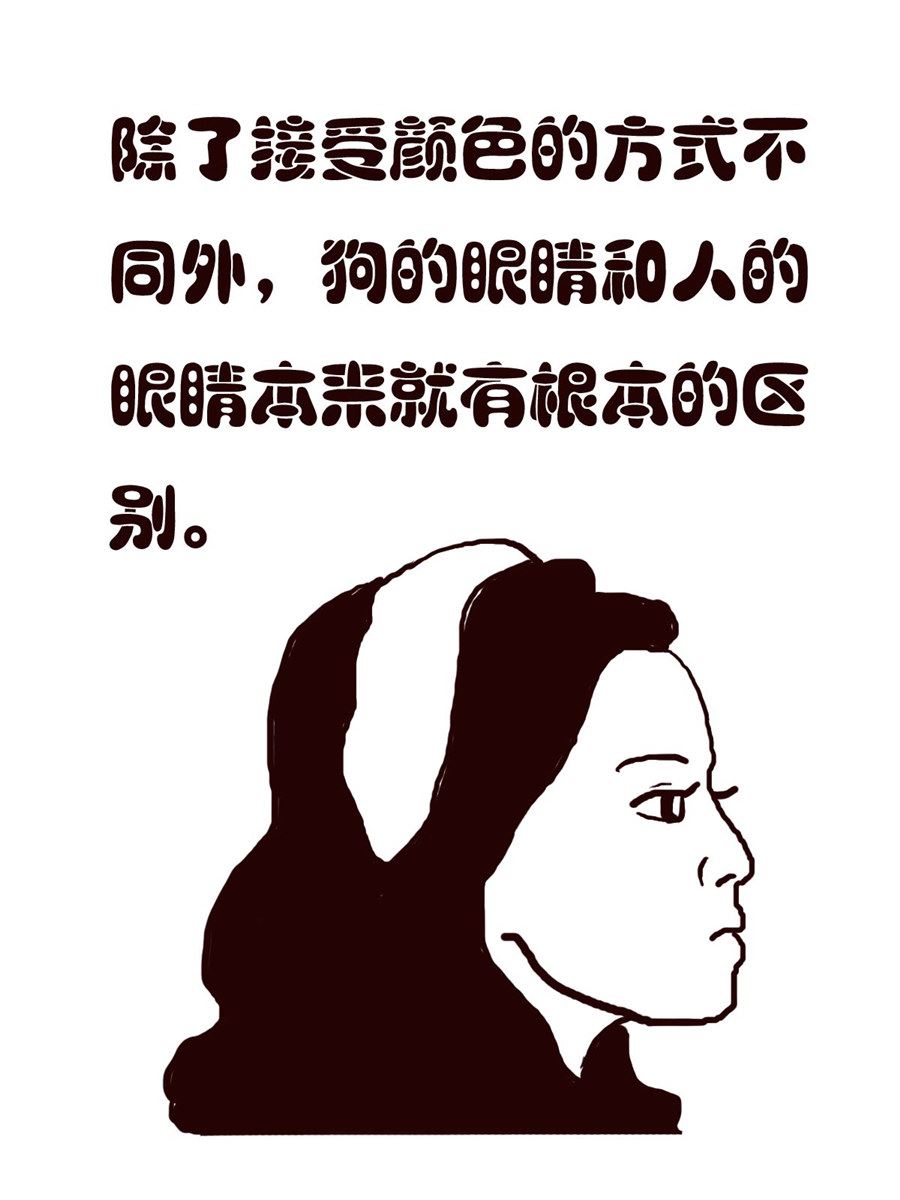 《小东与小西》小东与小西 第2集 第16页