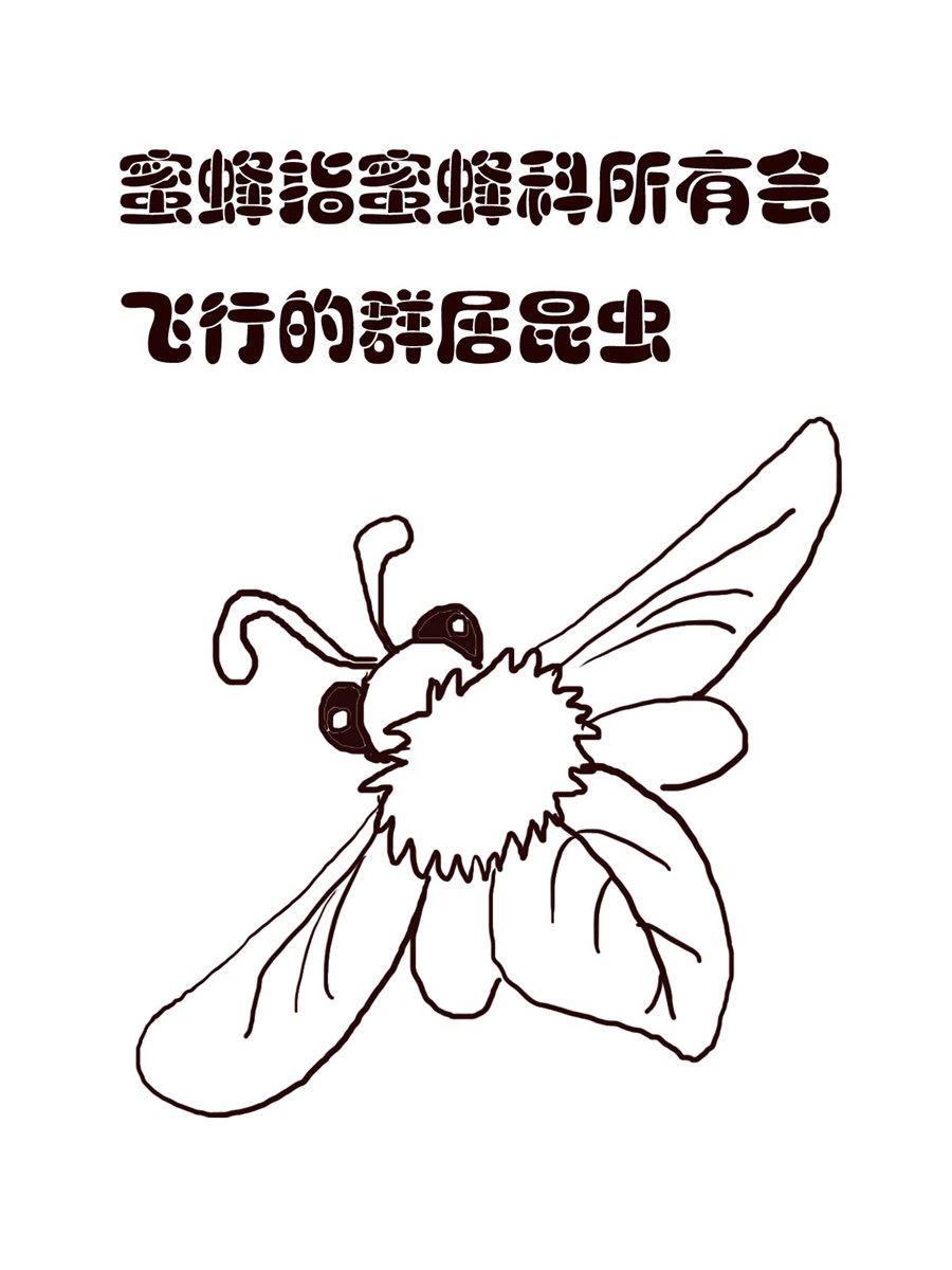 《小东与小西》小东与小西 第10集 第15页