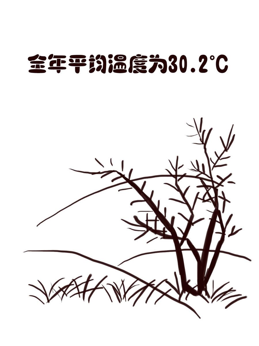 《小东与小西》小东与小西 第21集 第16页
