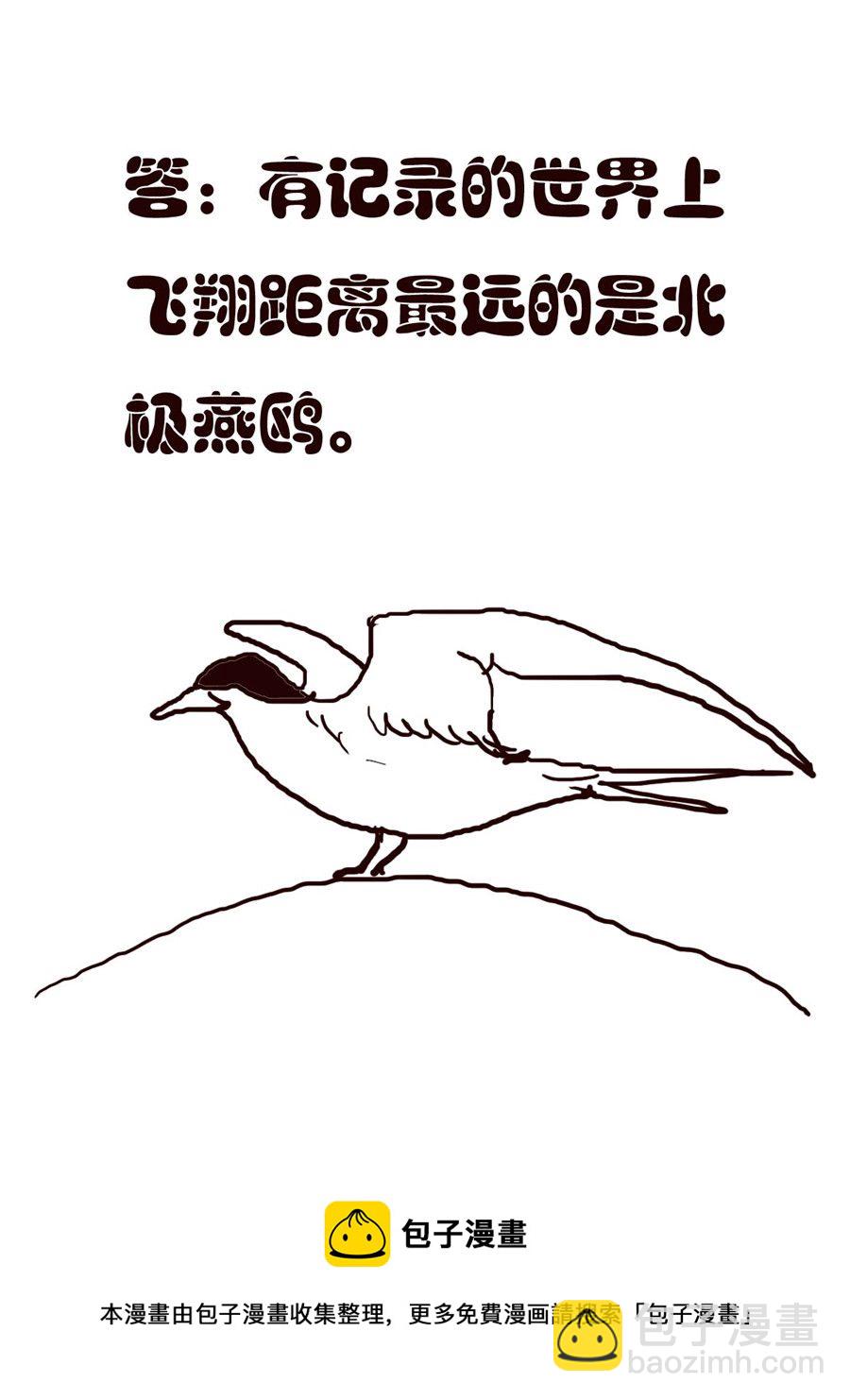 《小东与小西》小东与小西 第29集 第13页