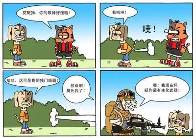 《呆狗衰猫》第12话 第12页