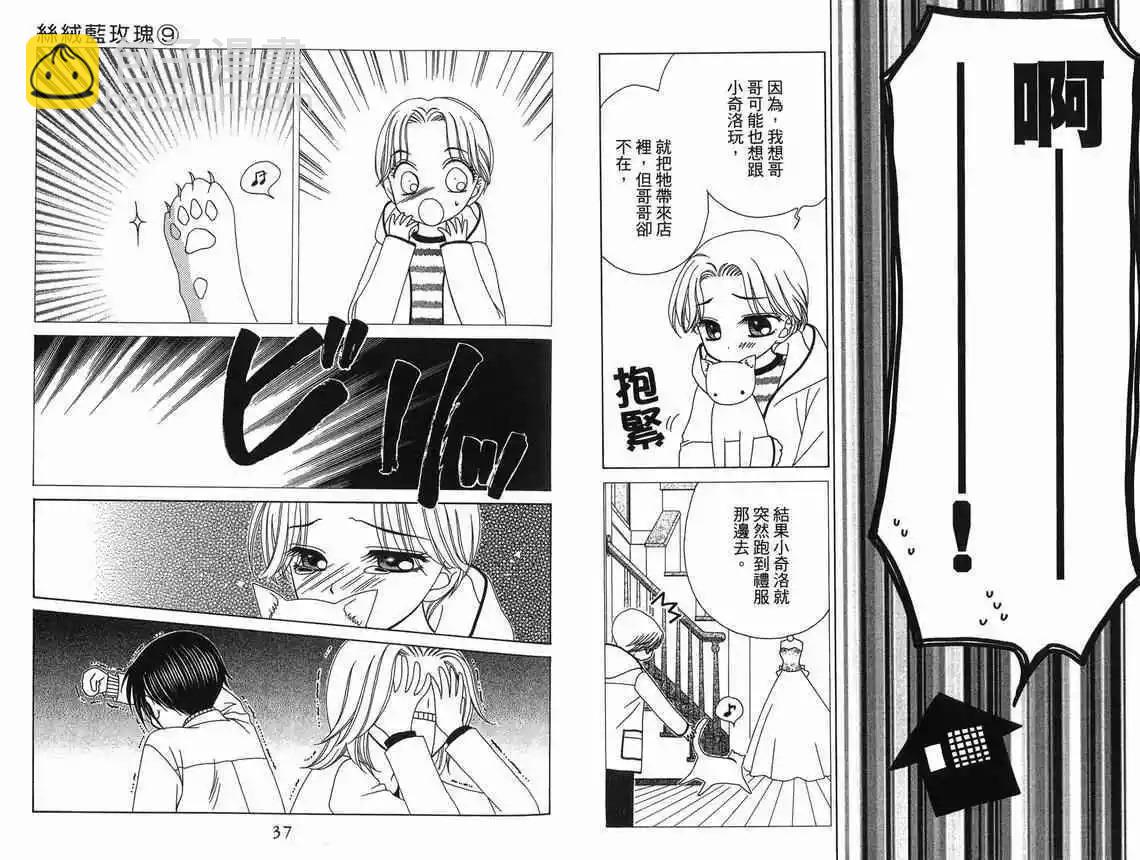 《V.B.R丝绒蓝玫瑰》第9卷 第20页
