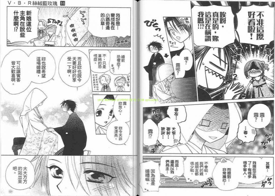 《V.B.R丝绒蓝玫瑰》第14卷 第39页