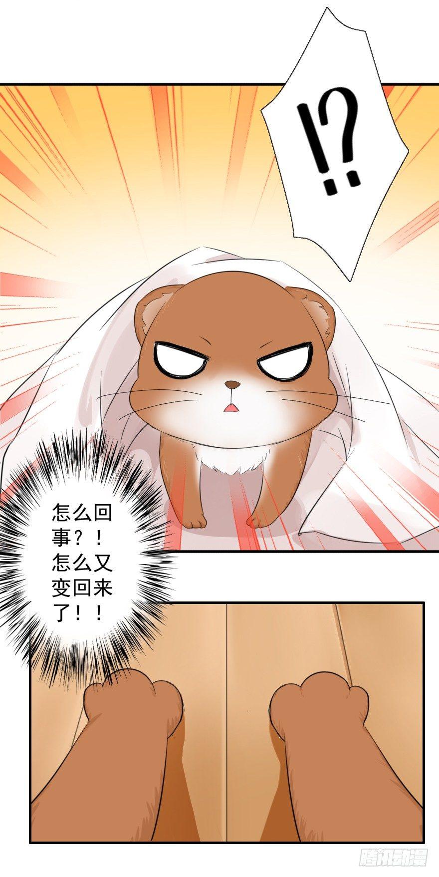 《帝姬养成日记》【2】这刺客真拽 第11页