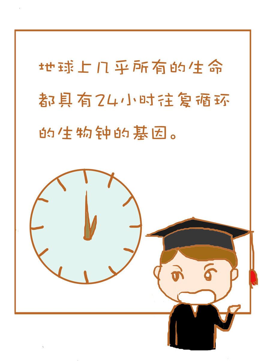 《生活小发现》生活小发现 第9集 第14页