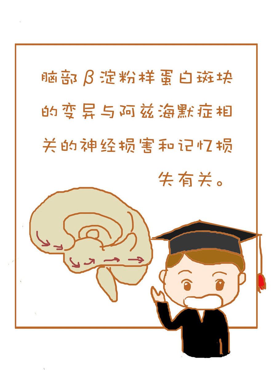 《生活小发现》生活小发现 第10集 第15页