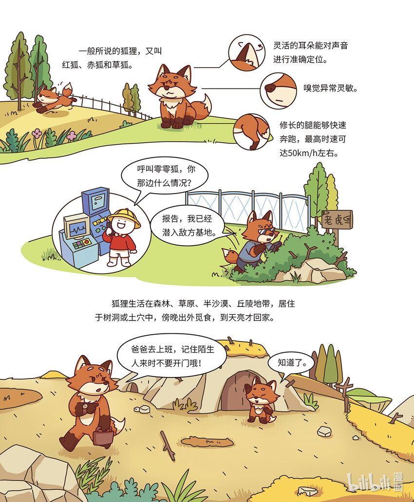 《小蓝带你逛动物园》第四章 最狡猾的狐狸 第3页