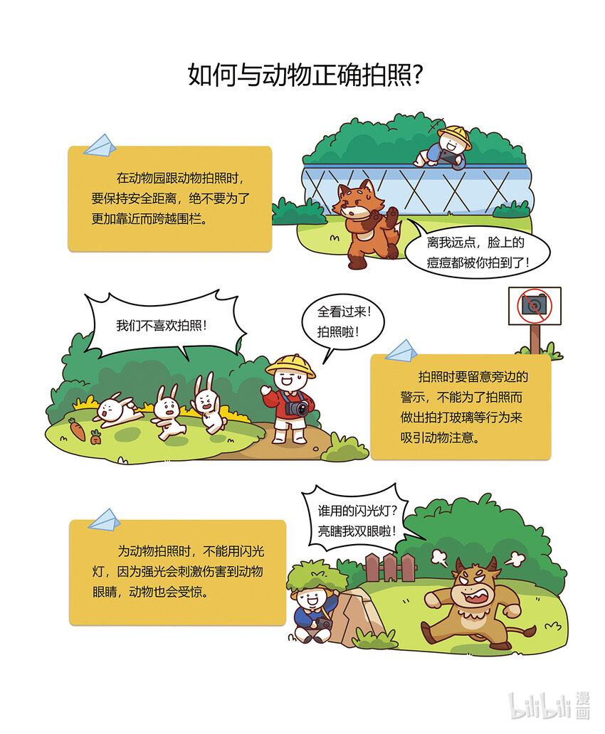 《小蓝带你逛动物园》第四章 最狡猾的狐狸 第7页