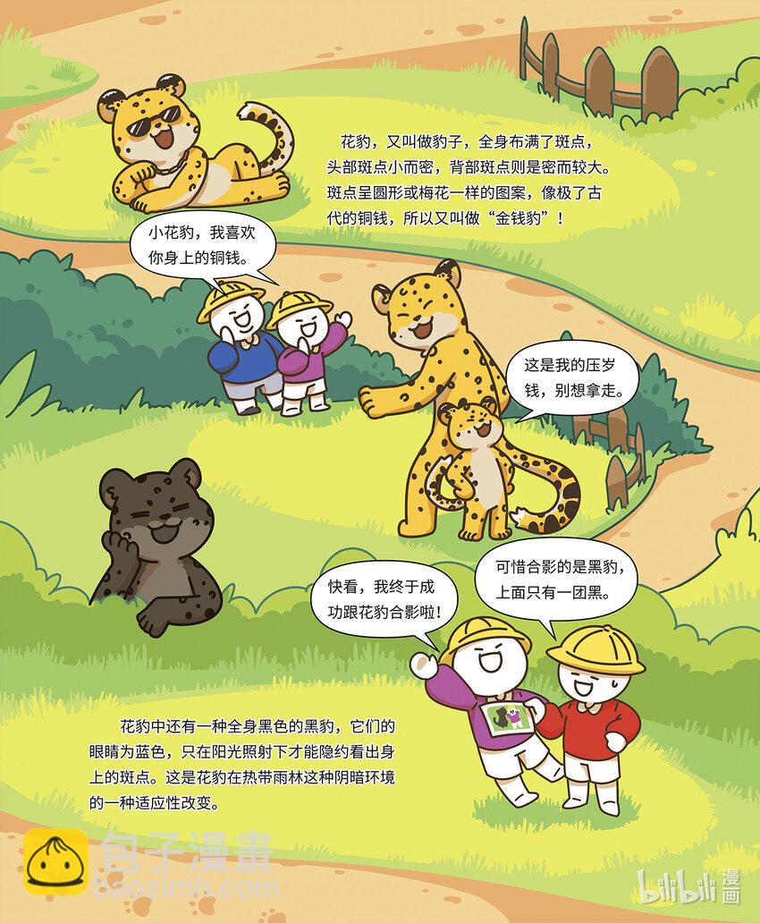 《小蓝带你逛动物园》第二章 身手矫捷的花豹 第2页