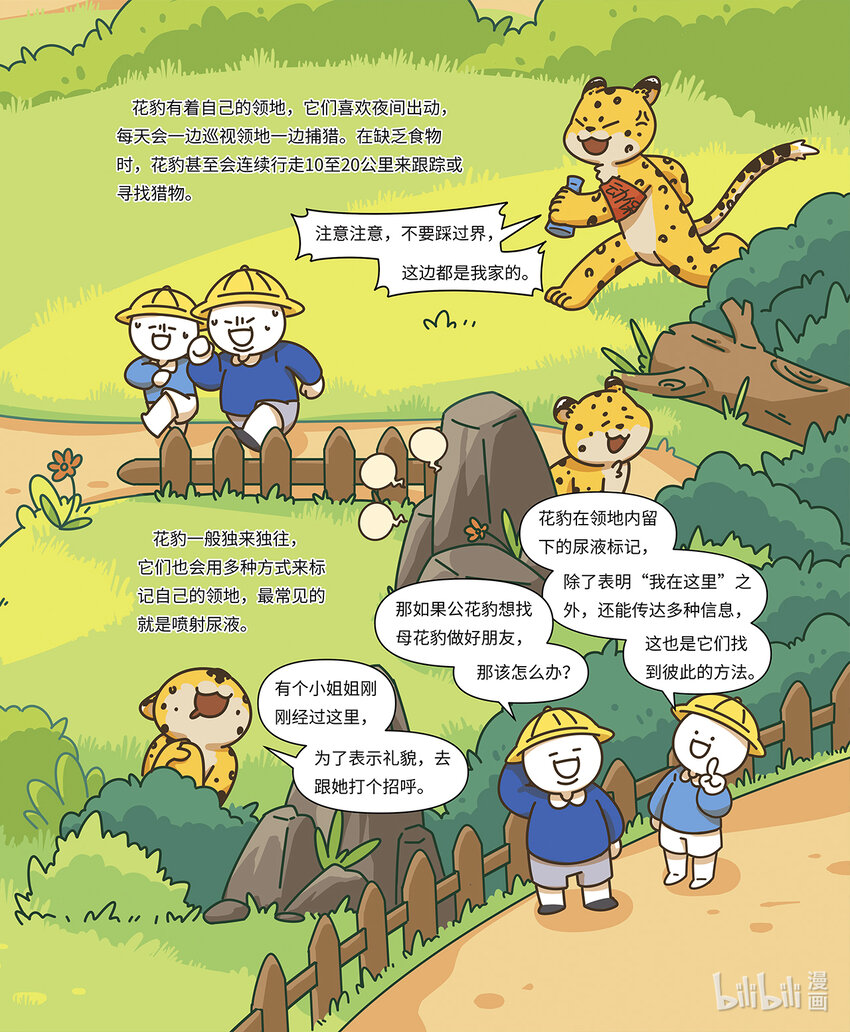 《小蓝带你逛动物园》第二章 身手矫捷的花豹 第3页