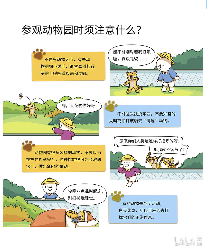 《小蓝带你逛动物园》第二章 身手矫捷的花豹 第6页
