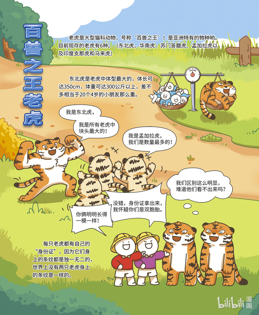 《小蓝带你逛动物园》第一章 百兽之王“老虎” 第3页