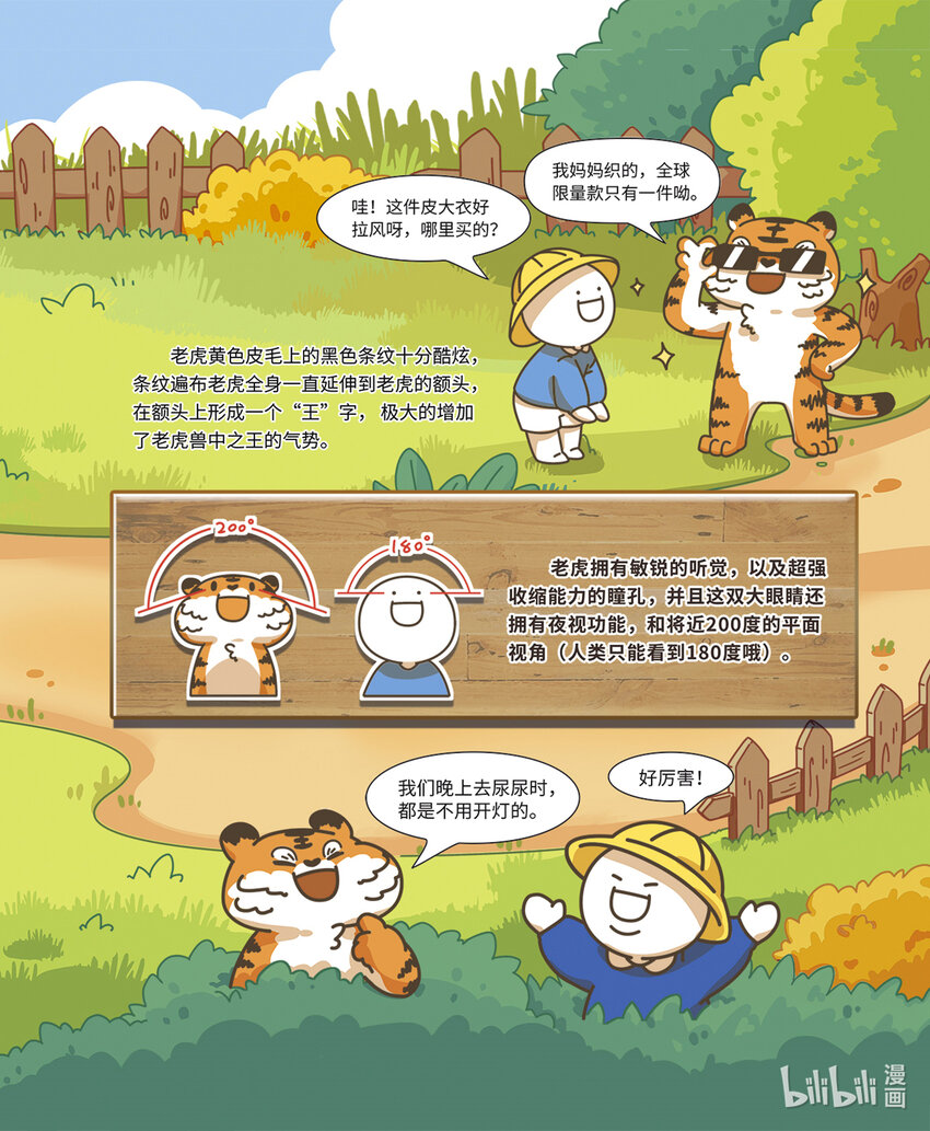 《小蓝带你逛动物园》第一章 百兽之王“老虎” 第4页