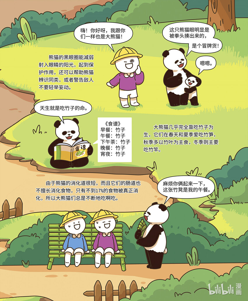 《小蓝带你逛动物园》第二章 国宝“熊猫” 第4页