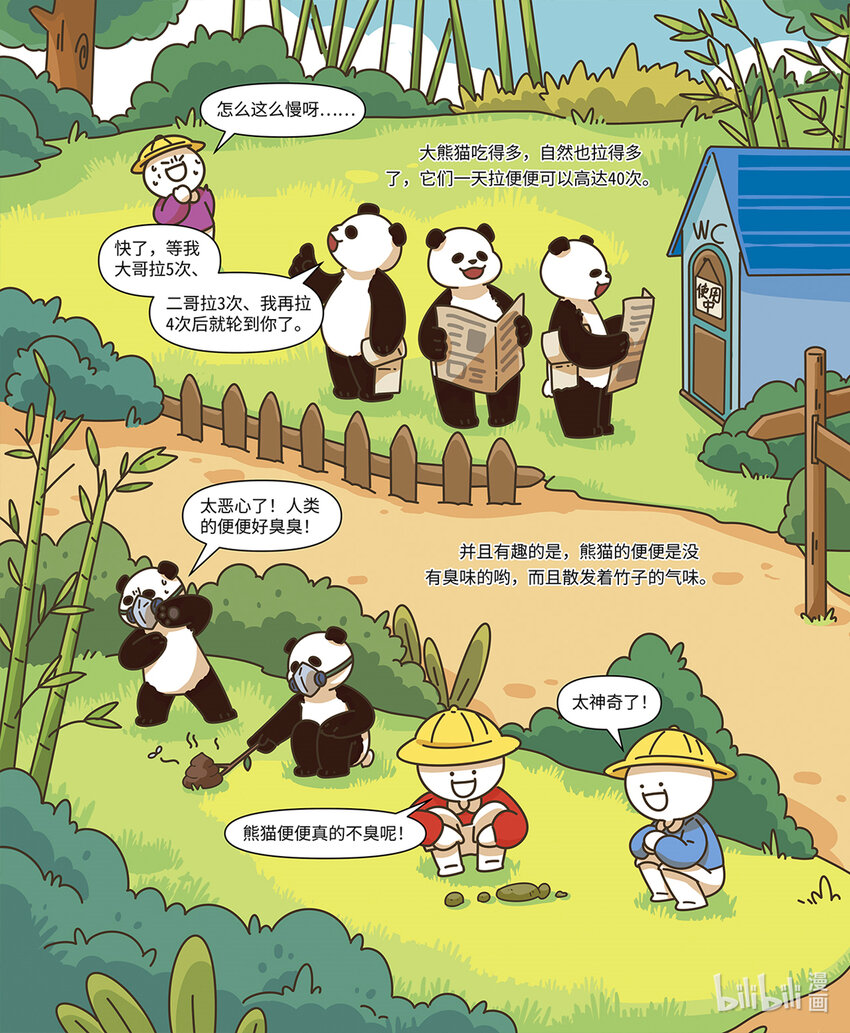 《小蓝带你逛动物园》第二章 国宝“熊猫” 第5页