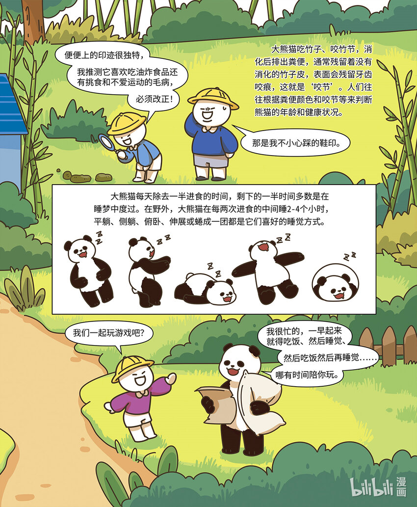 《小蓝带你逛动物园》第二章 国宝“熊猫” 第6页