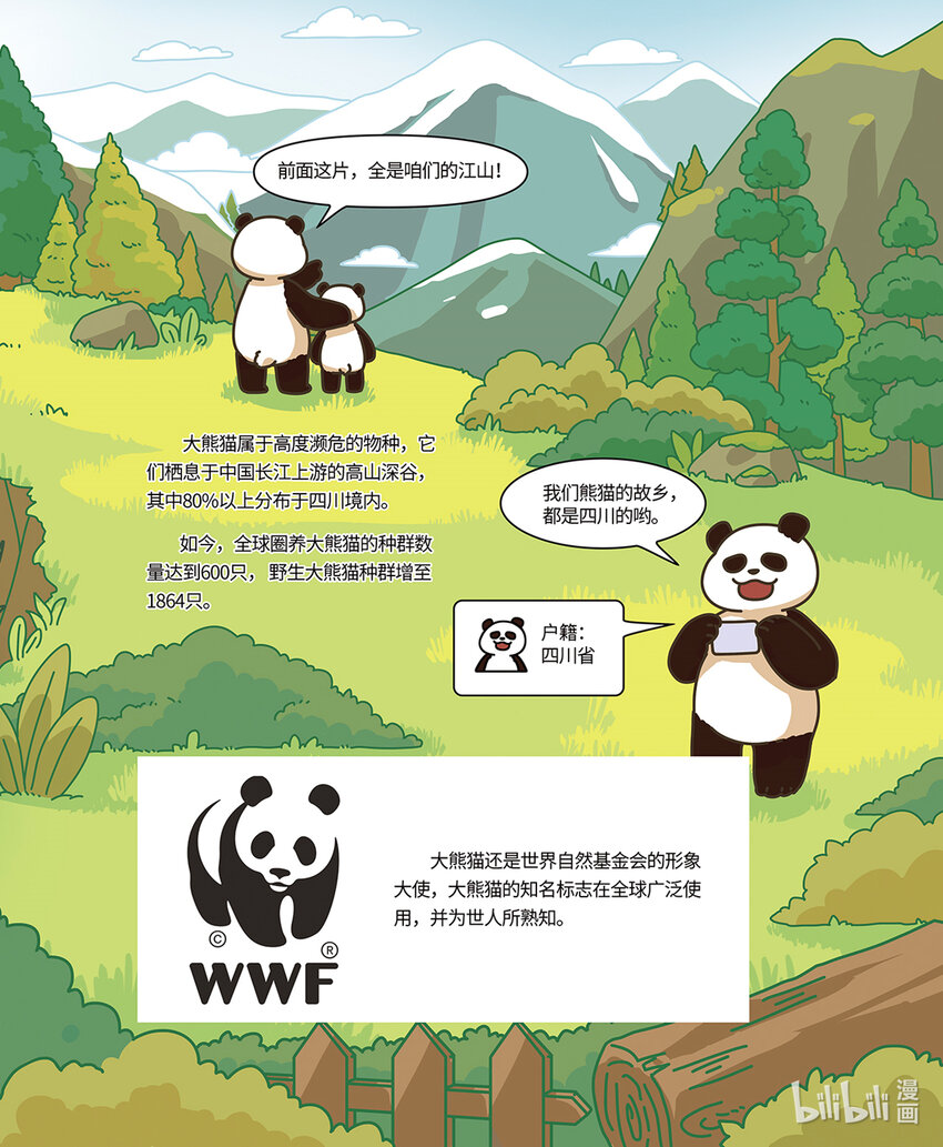 《小蓝带你逛动物园》第二章 国宝“熊猫” 第8页