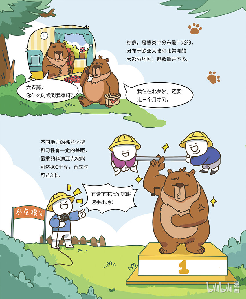 《小蓝带你逛动物园》第五章 “大力士”棕熊 第3页