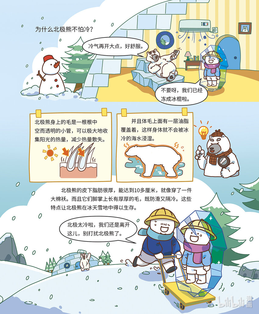 《小蓝带你逛动物园》第五章 “大力士”棕熊 第8页