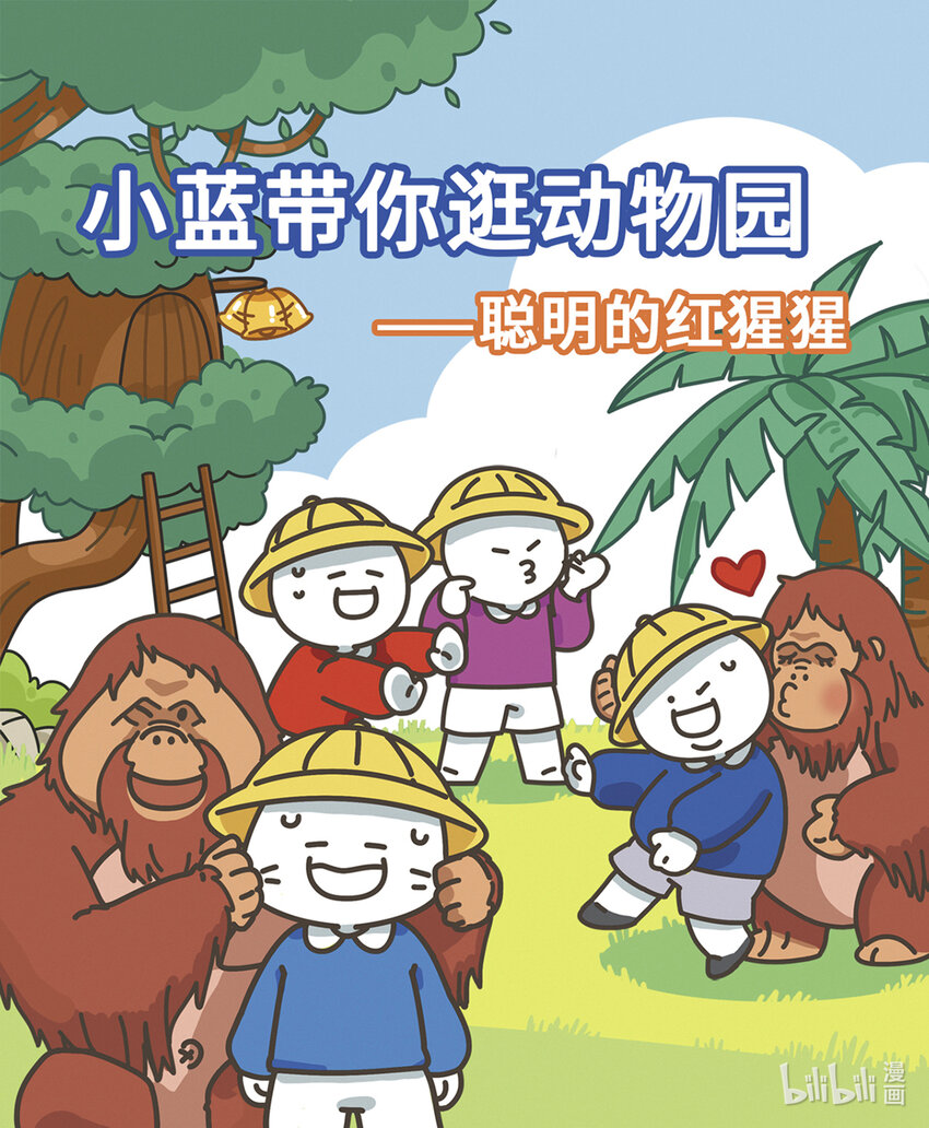 《小蓝带你逛动物园》第七章 聪明的红猩猩 第1页