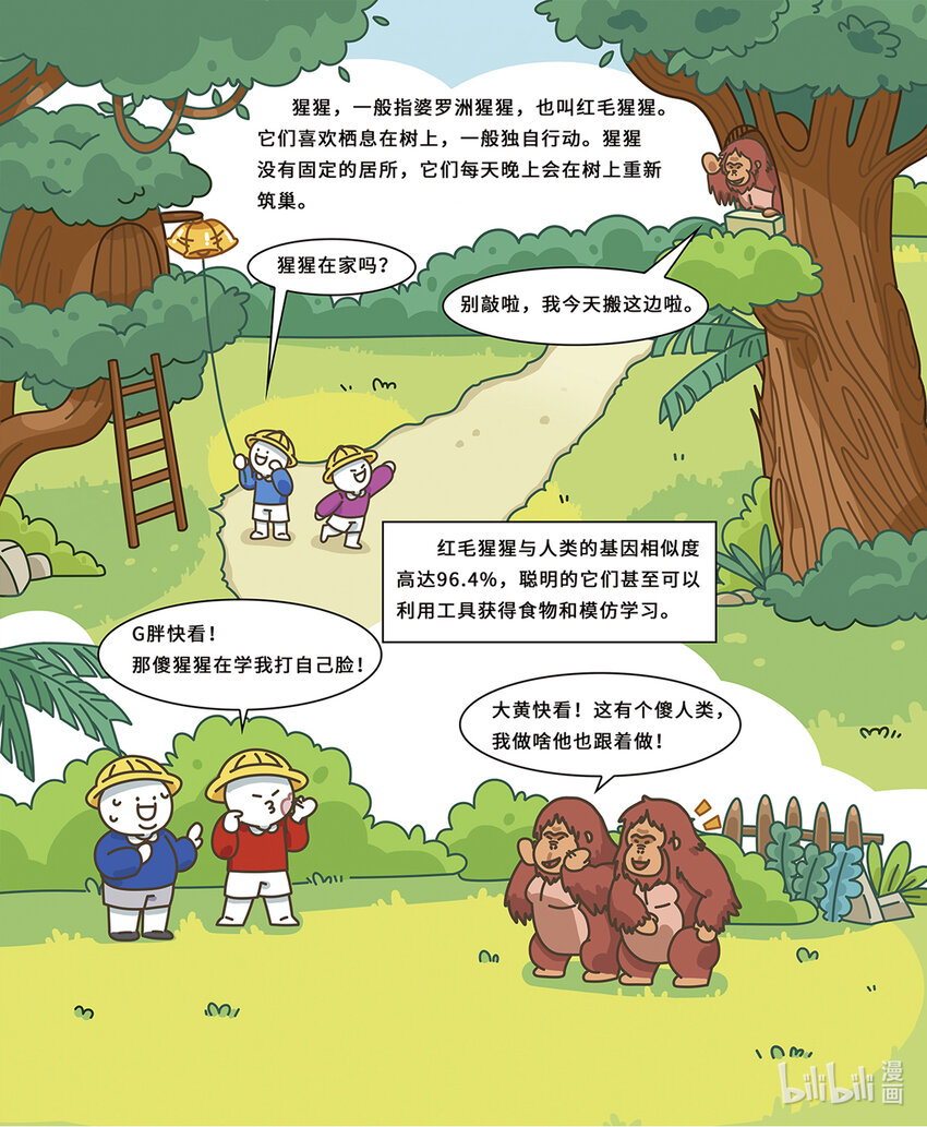 《小蓝带你逛动物园》第七章 聪明的红猩猩 第3页