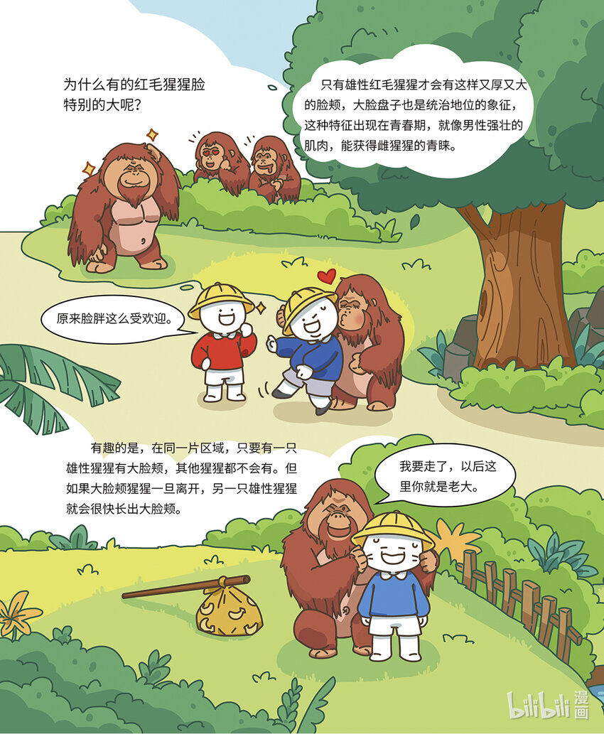 《小蓝带你逛动物园》第七章 聪明的红猩猩 第5页
