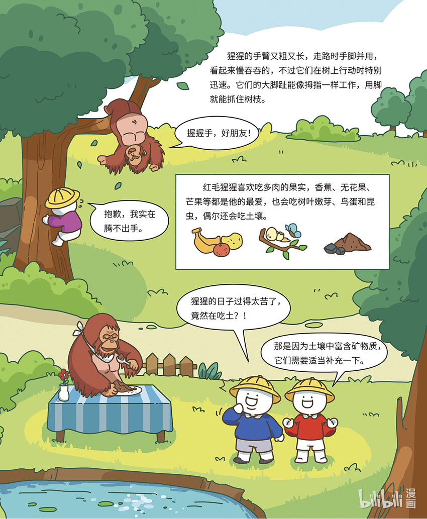 《小蓝带你逛动物园》第七章 聪明的红猩猩 第6页