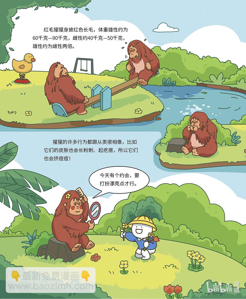 《小蓝带你逛动物园》第七章 聪明的红猩猩 第7页